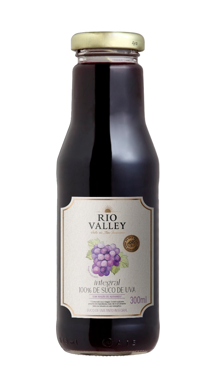SUCO DE UVA TINTO INTEGRAL RIO VALLEY 300ML